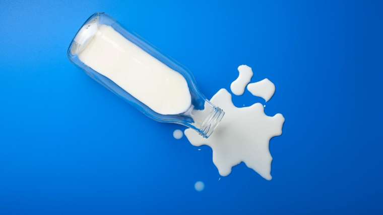 Conheça as causas da intolerância à lactose