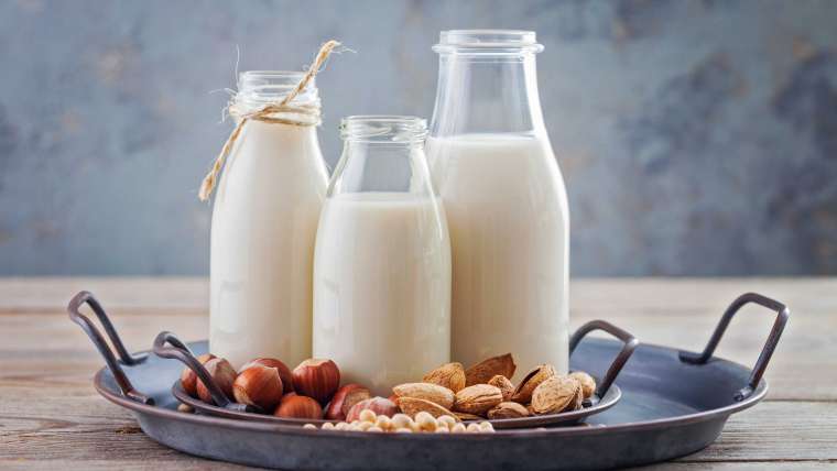 Leite vegetal: quais as opções para intolerantes à lactose?